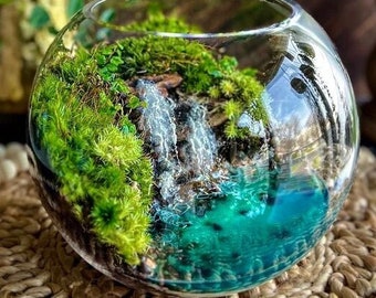 California Coast Waterfall Terrarium with Emerald Green Live Moss 2 Large Sizes