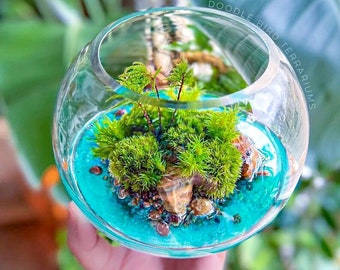 Mini Deserted Island Paradise Terrarium