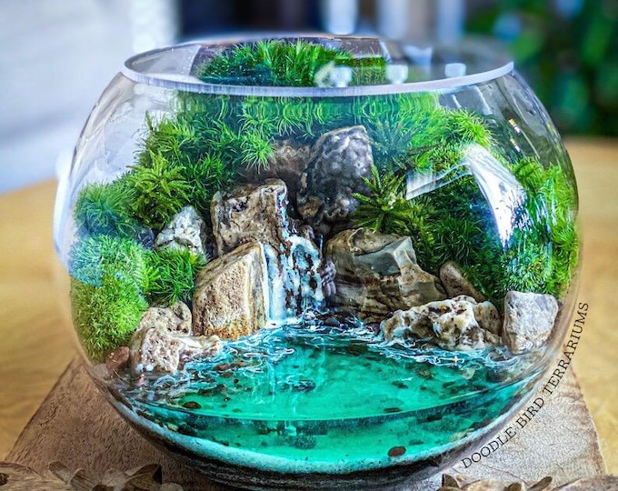 Featured listing image: Live Moss Lagoon Terrarium – 1 Natural Landscape with Stones and Waterfall