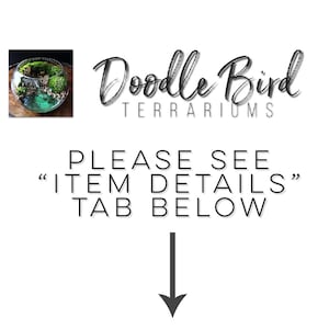 May include: A glass terrarium with a variety of plants and rocks. The terrarium is round and has a clear glass lid. The terrarium is sitting on a white surface. The text "Doodle Bird Terrariums" is visible above the terrarium. The text "PLEASE SEE "ITEM DETAILS" TAB BELOW" is visible below the terrarium.