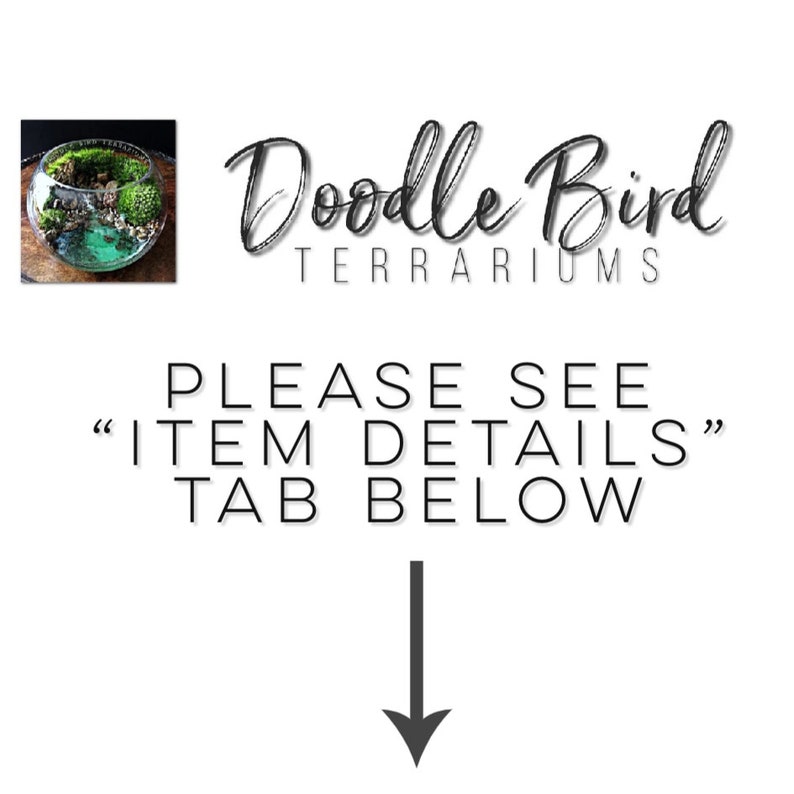 May include: A glass terrarium with a variety of plants and rocks. The terrarium is round and has a clear glass lid. The terrarium is sitting on a white surface. The text "Doodle Bird Terrariums" is visible above the terrarium. The text "PLEASE SEE "ITEM DETAILS" TAB BELOW" is visible below the terrarium.