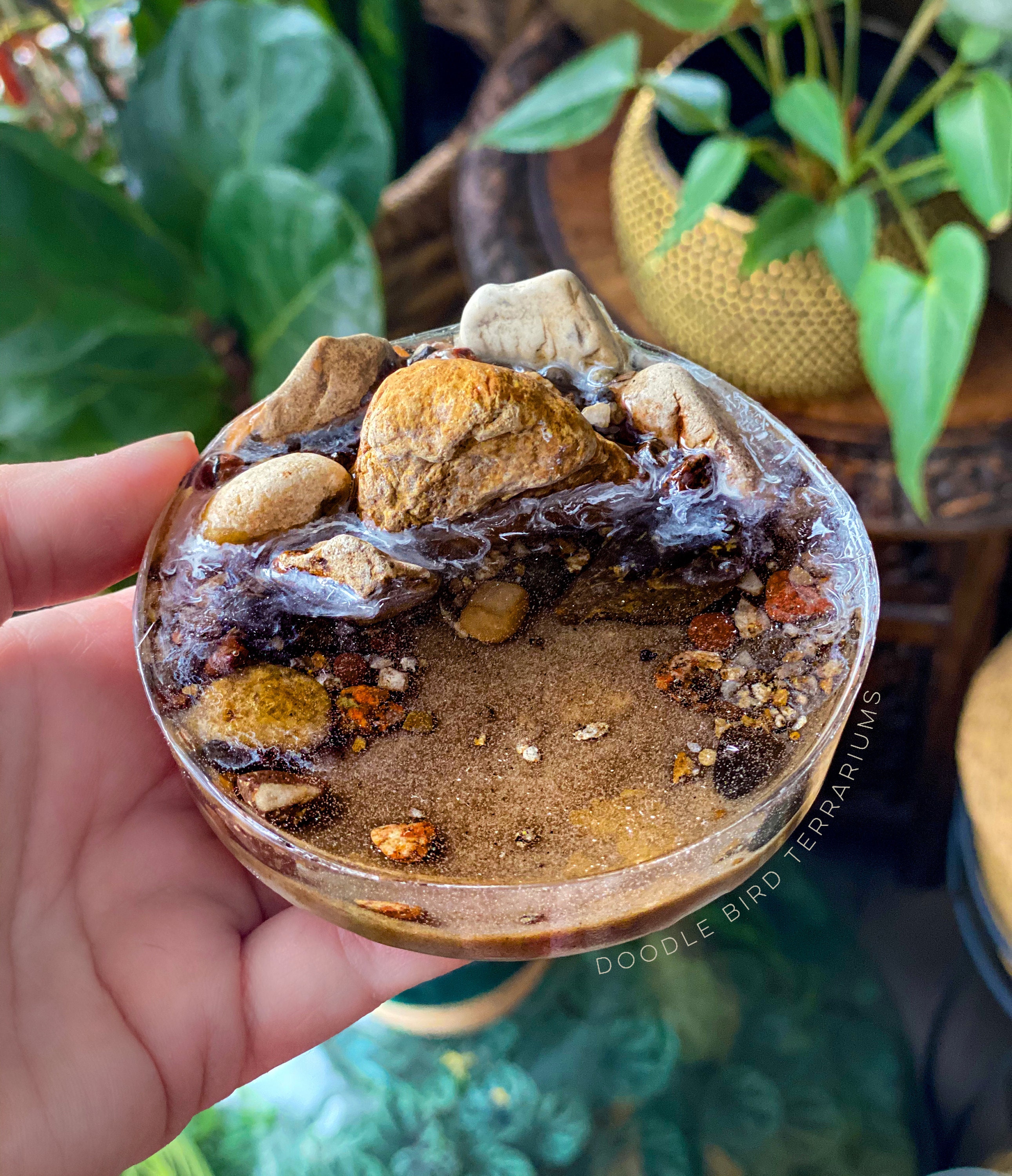 Pond Waterscape Kit for Terrarium Gardens