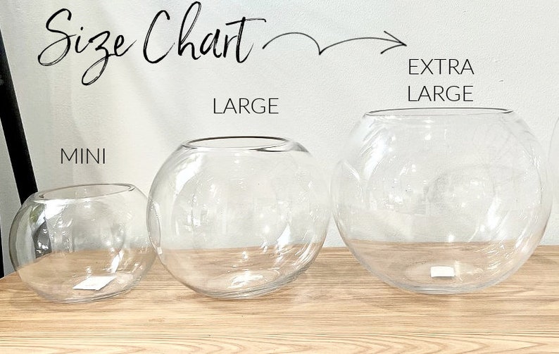 May include: Clear glass bowl vases in three sizes: Mini, Large, and Extra Large. The image shows the size chart with the text "Size Chart" at the top. The vases are displayed on a wooden surface.