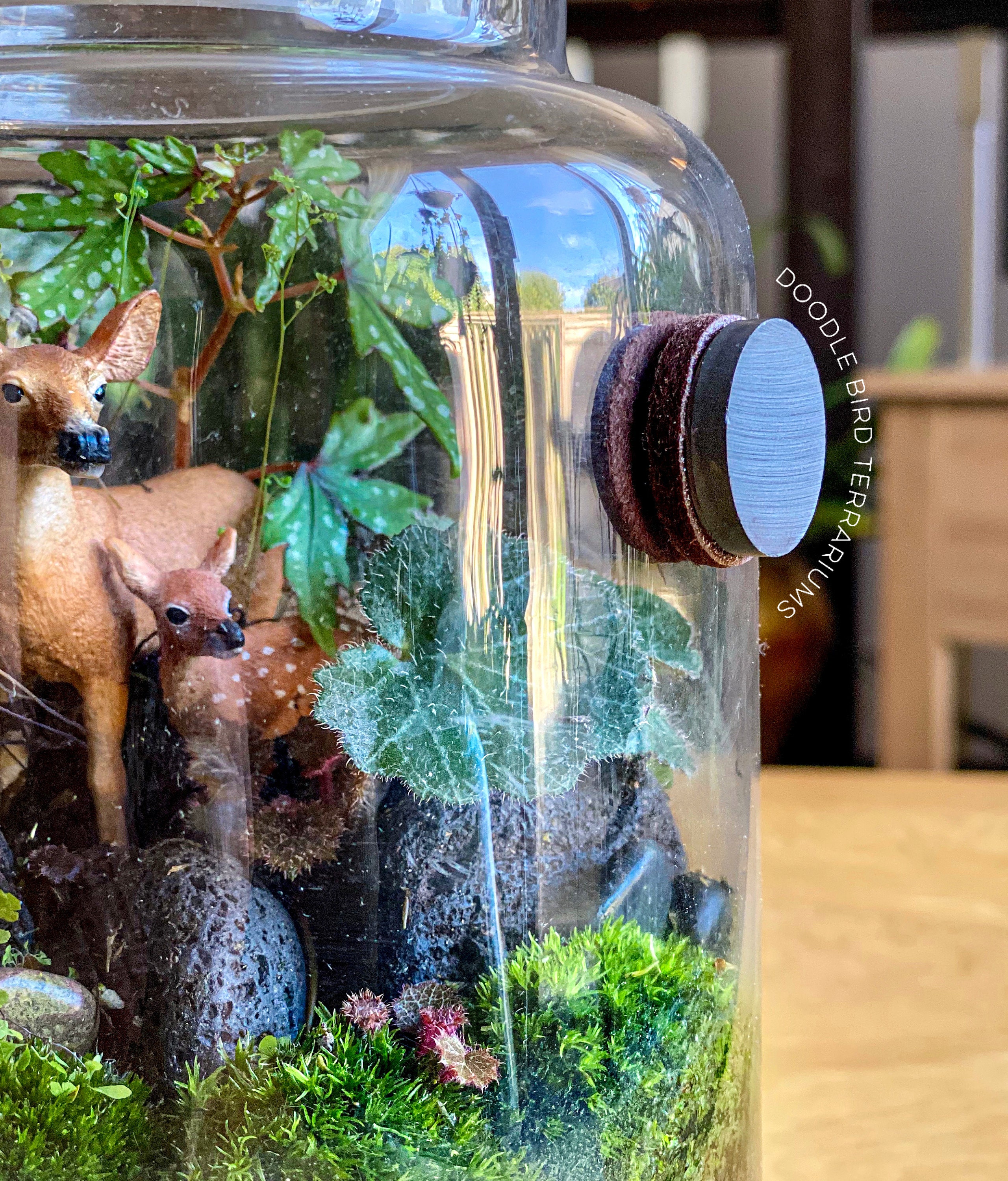 Terra Clear Terrarium Cleaner for Fog and Condensation