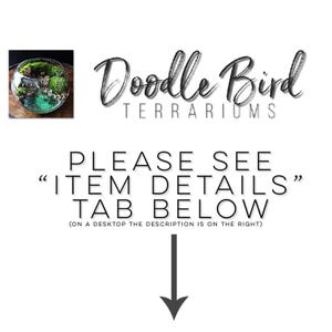 Op de afbeelding: Een glazen terrarium met verschillende planten en mos. Het terrarium is rond en heeft een doorzichtig glazen deksel. Het terrarium staat op een houten oppervlak. De tekst "Doodle Bird Terrariums" staat boven het terrarium. De tekst "PLEASE SEE "ITEM DETAILS" TAB BELOW (ON A DESKTOP THE DESCRIPTION IS ON THE RIGHT)" staat onder het terrarium.