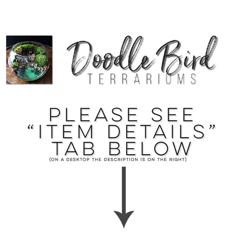 Op de afbeelding: Een glazen terrarium met verschillende planten en mos. Het terrarium is rond en heeft een doorzichtig glazen deksel. Het terrarium staat op een houten oppervlak. De tekst "Doodle Bird Terrariums" staat boven het terrarium. De tekst "PLEASE SEE "ITEM DETAILS" TAB BELOW (ON A DESKTOP THE DESCRIPTION IS ON THE RIGHT)" staat onder het terrarium.