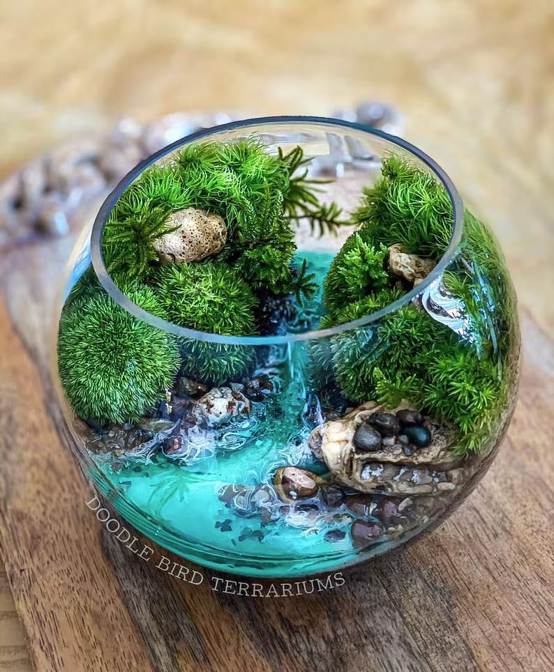May include: A miniature terrarium in a clear glass bowl. The terrarium features a small waterfall, rocks, and lush green moss. The base of the terrarium is a vibrant turquoise color. The text "Doodle Bird Terrariums" is visible on the side of the bowl.