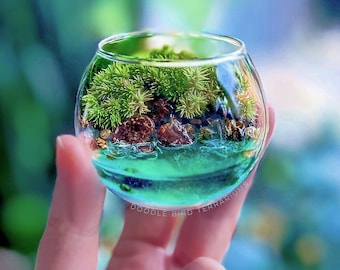 Miniature Moss Terrarium: Ocean Ecosystem for Desk or Shelf, 2" Pocket Garden