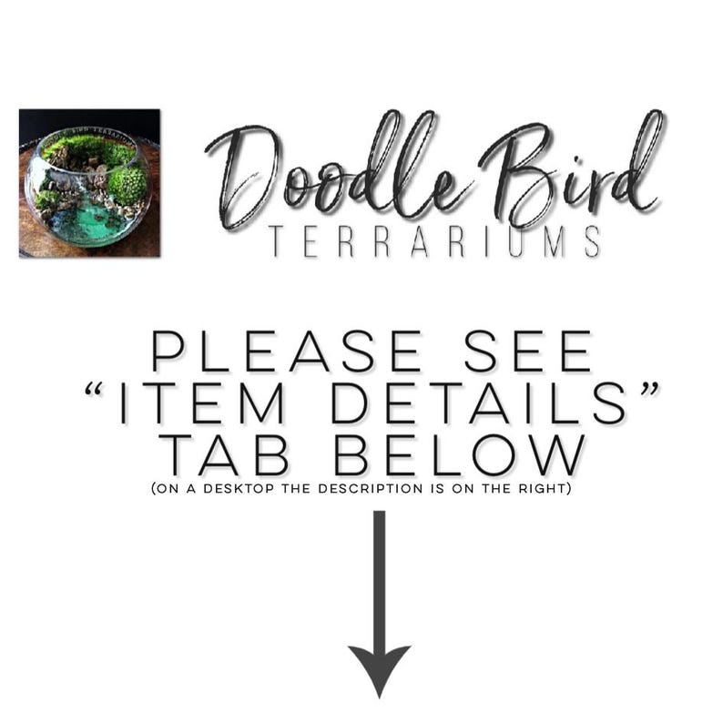 K&ouml;nnte beinhalten: Das Bild zeigt ein kleines Terrarium in einer Glasschale mit einer Miniaturlandschaft aus Pflanzen und Steinen. Der Text "Doodle Bird TERRARIUMS" steht &uuml;ber dem Text "PLEASE SEE ITEM DETAILS TAB BELOW". Ein Pfeil zeigt nach unten.