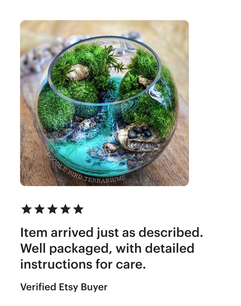 May include: A handcrafted terrarium in a clear glass bowl. The miniature landscape features vibrant green moss, small stones, and a turquoise-colored base, creating a miniature ecosystem. The text "DOODLE BIRD TERRARIUMS" is visible.