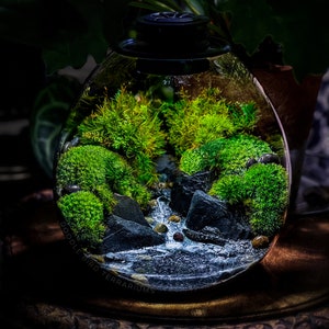 Table Lamp Terrarium with Peaceful Lake Scene