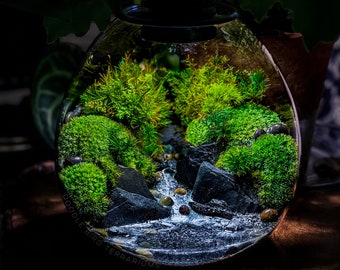 Table Lamp Terrarium with Peaceful Lake Scene