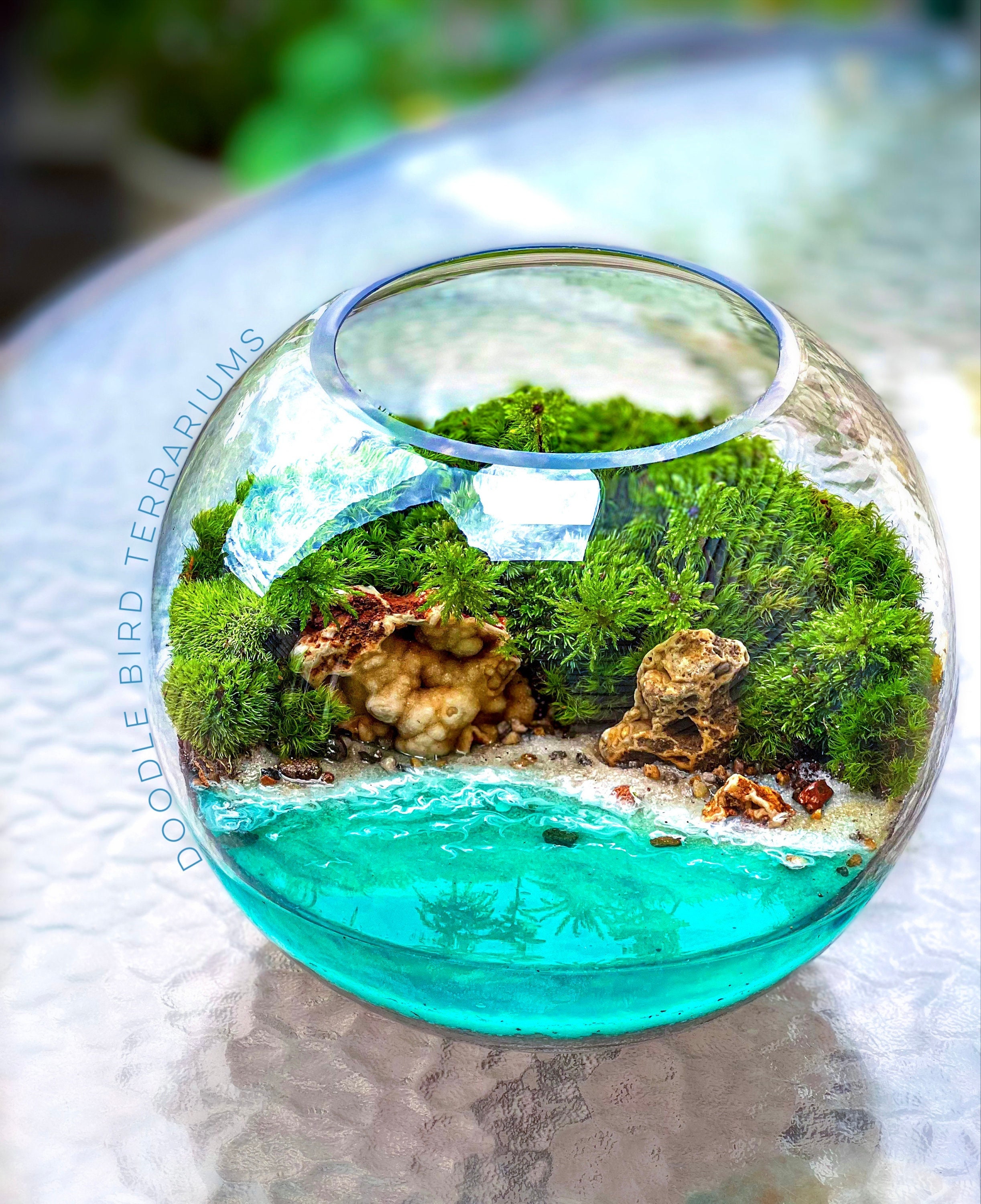 Large Coastal Terrarium with Beach and Live Moss
