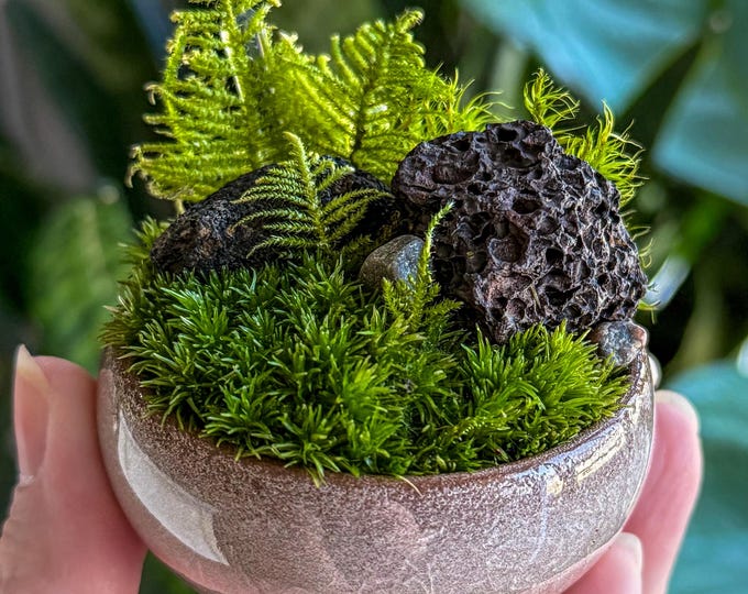 Featured listing image: Mini Moss & Stone Dish Garden –  Tiny Terrarium with Natural Lava Rock and Fern Moss