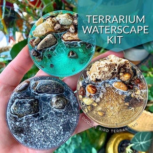 Mini Waterscape Kit for Terrariums and Miniature Gardens image 1