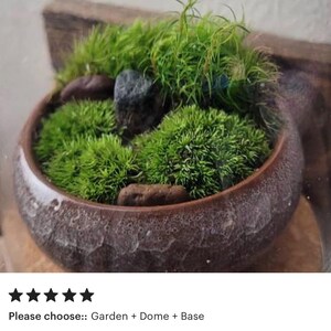 K&ouml;nnte beinhalten: Ein kleines Terrarium mit leuchtend gr&uuml;nen Moosen und kleinen Steinen in einer braunen Keramikschale. Die Schale hat eine strukturierte Oberfl&auml;che. Der Text "Please choose:: Garden + Dome + Base" ist sichtbar.
