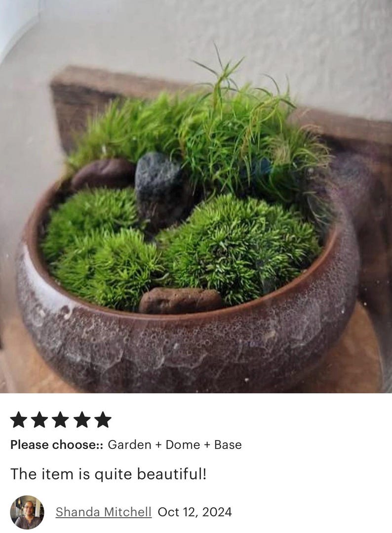 K&ouml;nnte beinhalten: Ein kleines Terrarium mit leuchtend gr&uuml;nen Moosen und kleinen Steinen in einer braunen Keramikschale. Die Schale hat eine strukturierte Oberfl&auml;che. Der Text "Please choose:: Garden + Dome + Base" ist sichtbar.