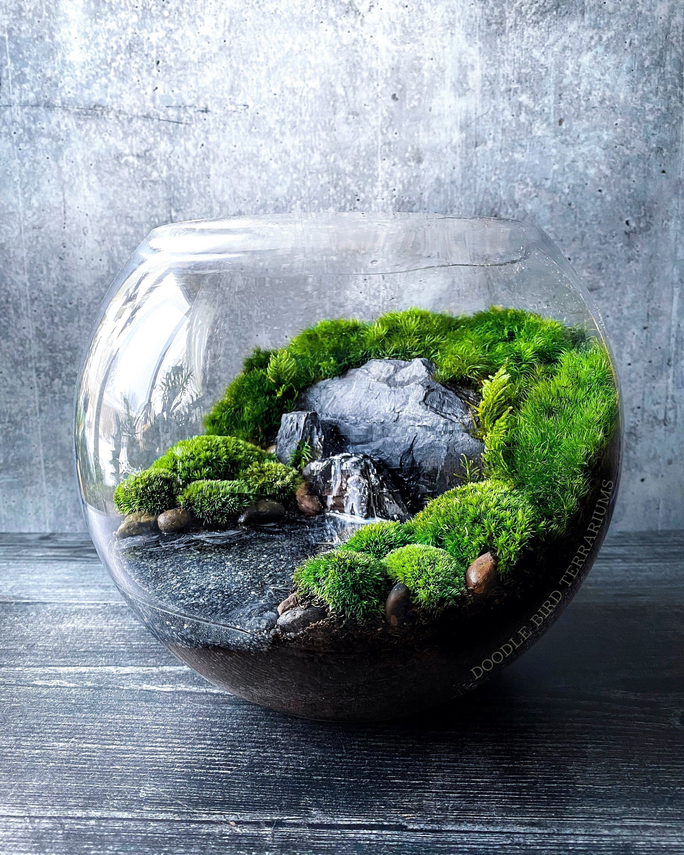 SALE Zen Concrete Handmade Moss Bowl Terrarium Centerpiece  Terrarium  centerpiece, Moss centerpieces, Large bowl centerpiece