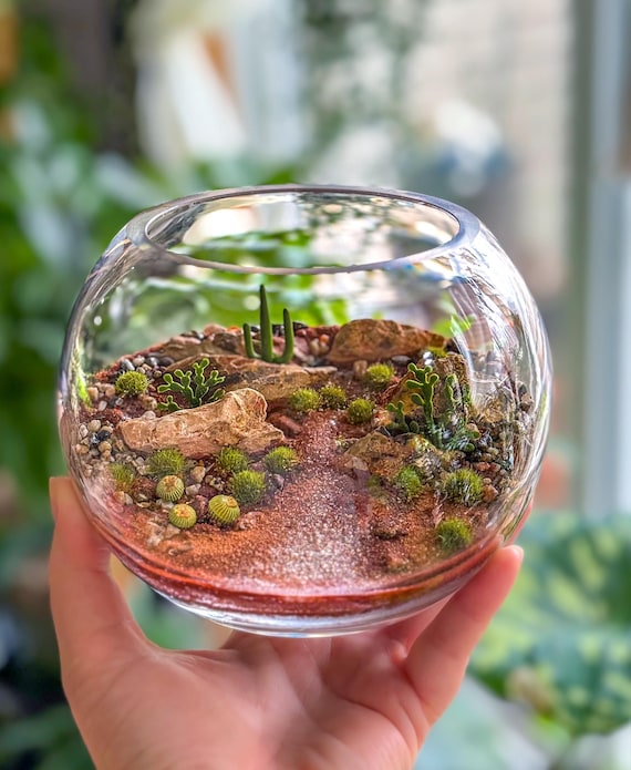 Southwest Decor - Native Sedona Desert Landscape Terrarium for Home or Office