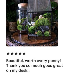 Glass Terrarium for Shelf Decor, Office Plants, and Easy Care Beginner Gardening image 6