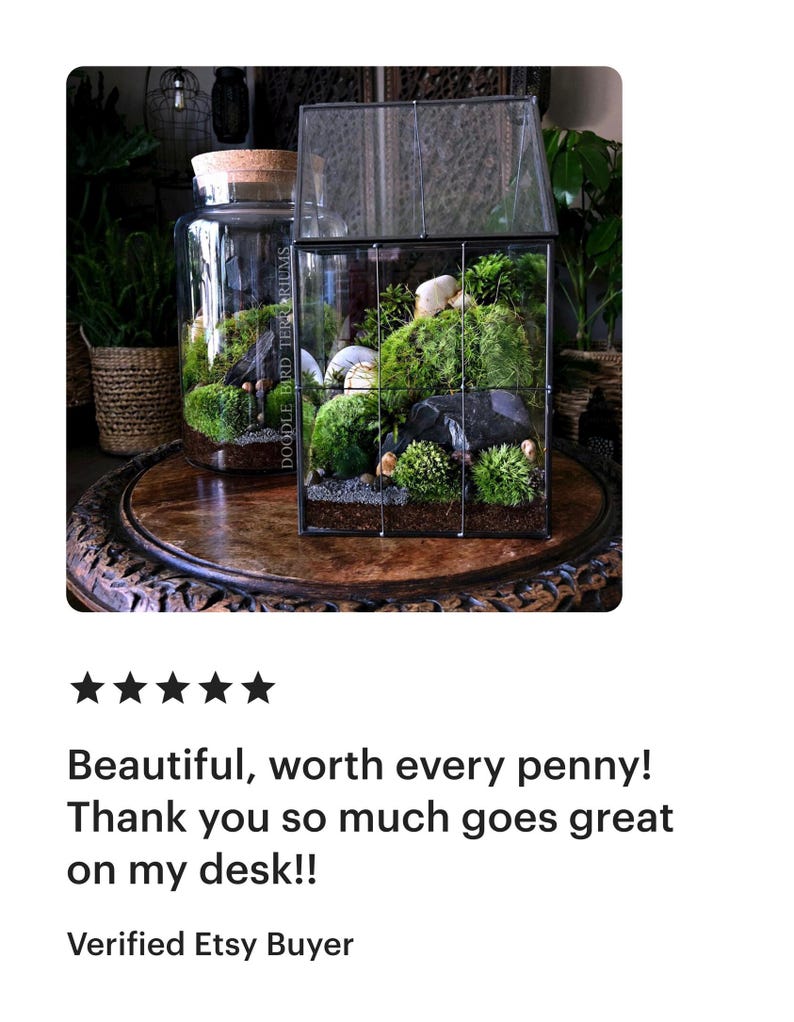 Glass Terrarium for Shelf Decor, Office Plants, and Easy Care Beginner Gardening image 6