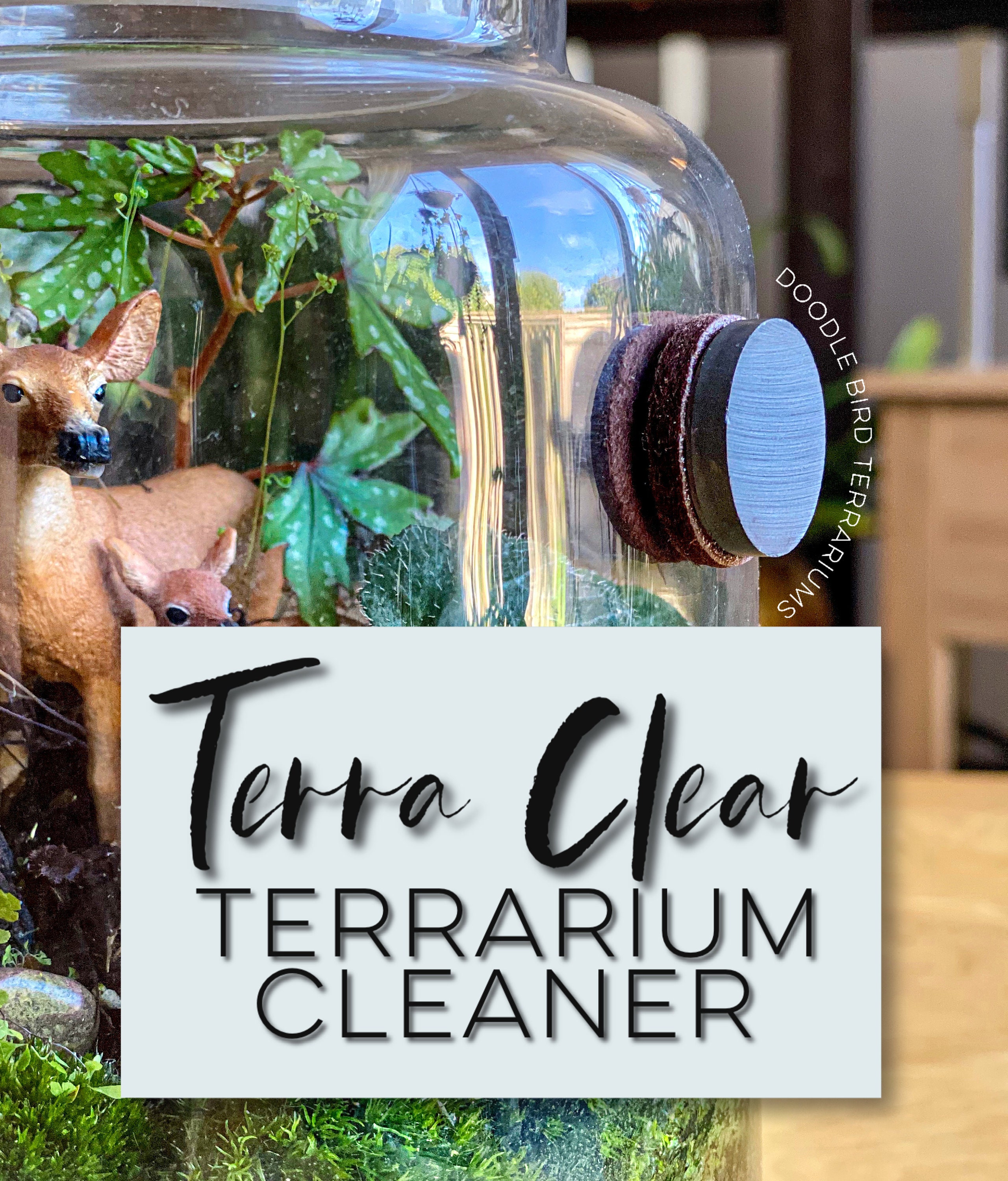 Terra Clear Terrarium Cleaner for Fog and Condensation