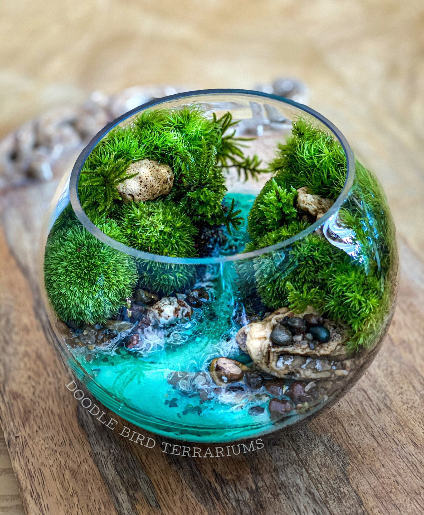 Terrarium with Turquoise Tropical Florida Springs Large and Extra