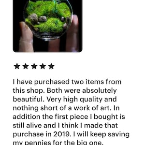 Jardín de bolsillo: Pequeño Edén, terrario de musgo en miniatura coleccionable imagen 2