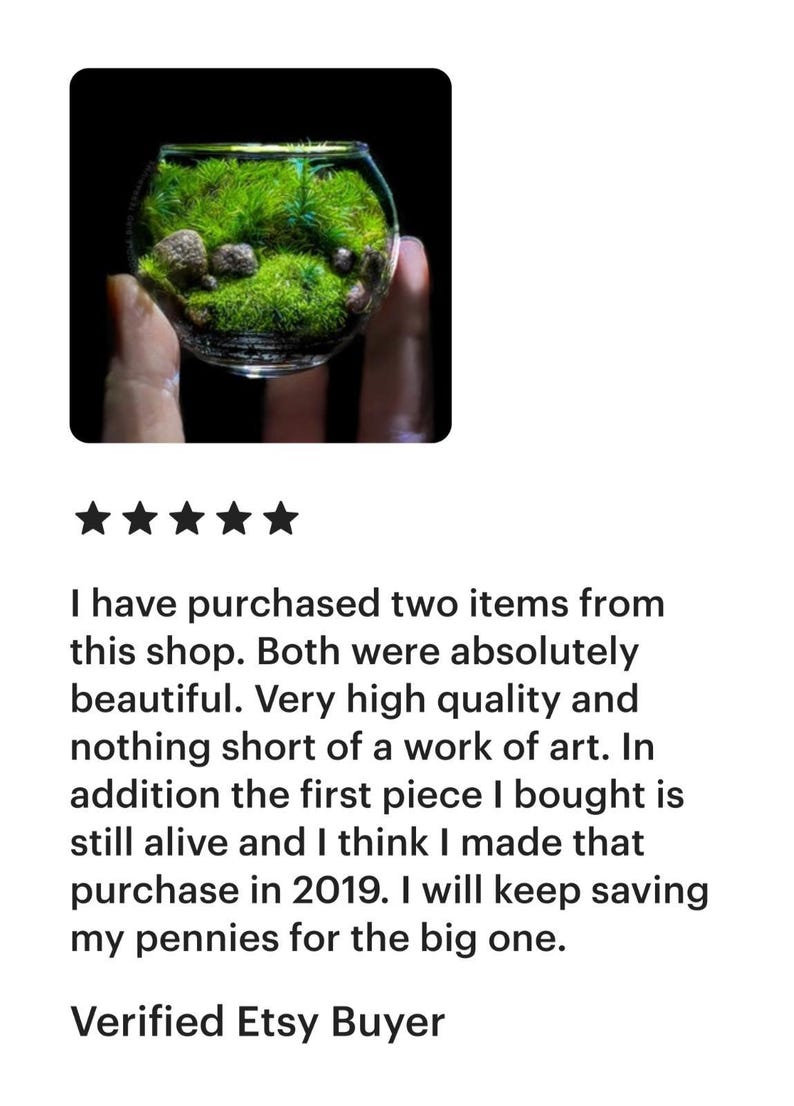 Jardín de bolsillo: Pequeño Edén, terrario de musgo en miniatura coleccionable imagen 2