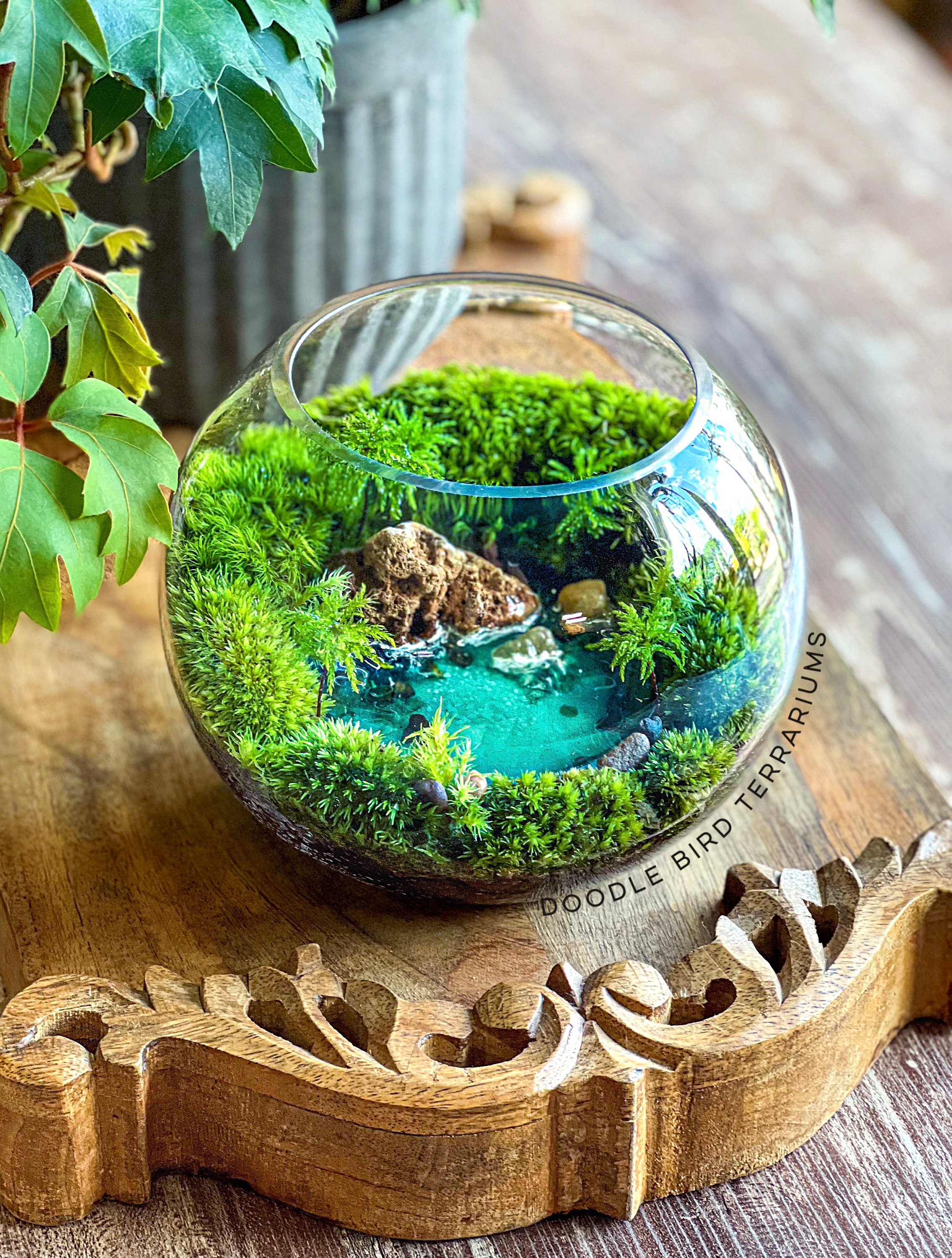 Ocean Oasis Terrarium with a Turquoise Pool of Tranquil Water XL