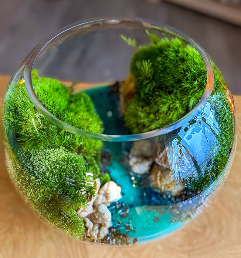May include: A clear glass terrarium with a miniature landscape. The terrarium features vibrant green moss, small rocks, and a teal-colored resin base, creating a naturalistic scene. The glass is round and the terrarium is set on a wooden surface.