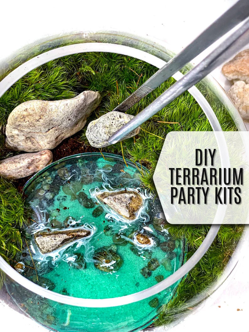 May include: A DIY terrarium party kit with a clear glass jar, green moss, small rocks, and a turquoise blue liquid with white swirls.