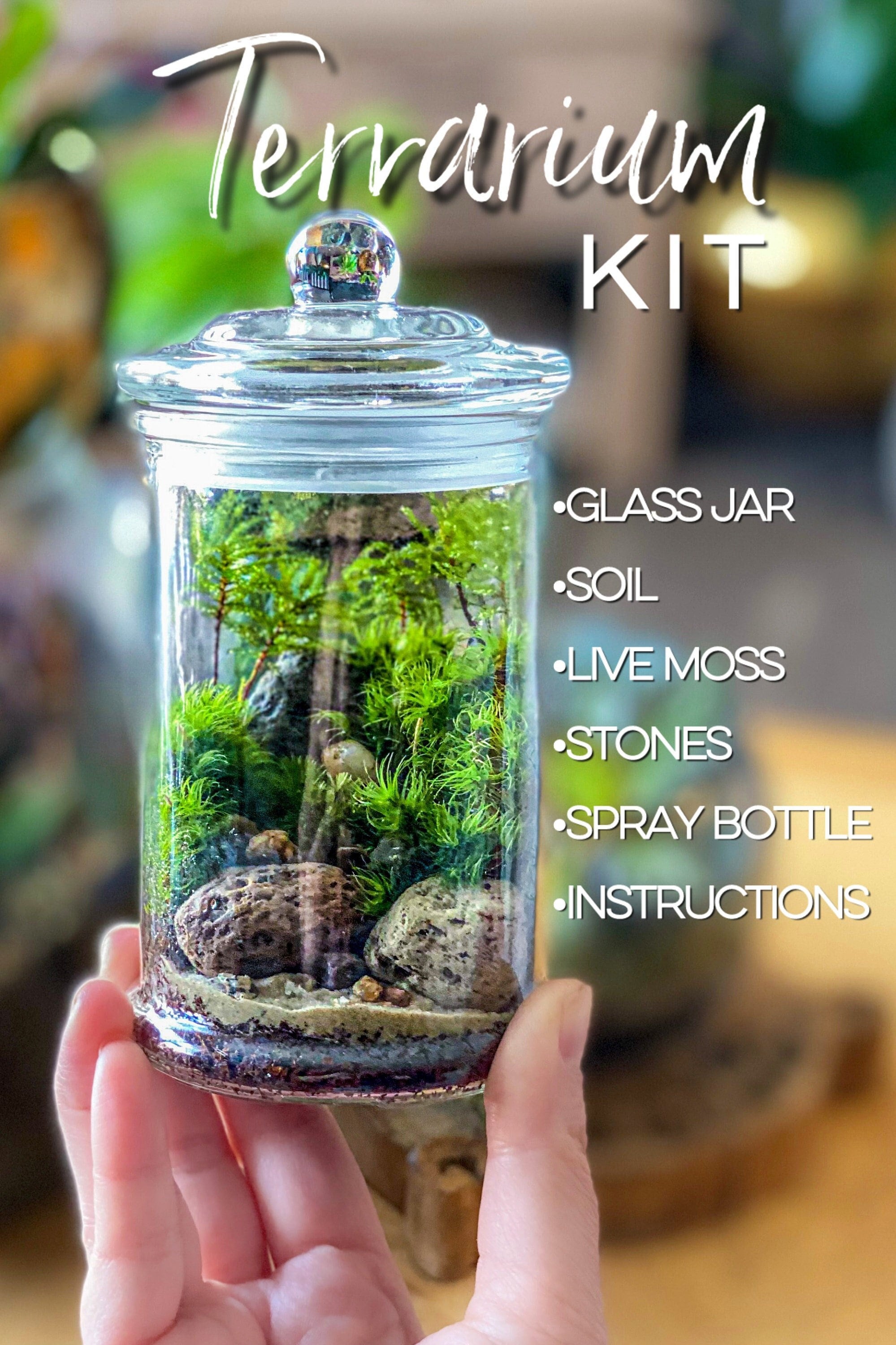 live moss terrarium, terrarium kit, diy terrarium kit, terrarium suppl –  NotJustMoss