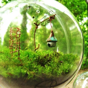 The Secret Garden Moss Terrarium Globe image 1