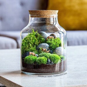 May include: A glass jar terrarium with a cork lid, filled with green moss, small rocks, and miniature horses. The jar is sitting on a light gray surface. The text "Doodle Bird Terrariums" is printed on the bottom of the jar.
