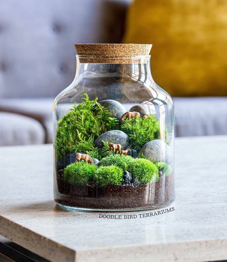 May include: A glass jar terrarium with a cork lid, filled with green moss, small rocks, and miniature horses. The jar is sitting on a light gray surface. The text "Doodle Bird Terrariums" is printed on the bottom of the jar.