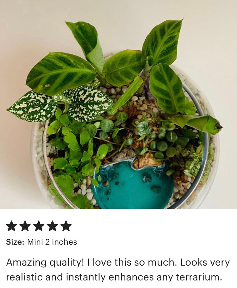 May include: A small glass terrarium with a variety of green plants, a miniature blue lake, and white pebbles. The terrarium is 2 inches in diameter.