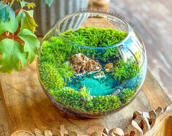 DIY Ocean Inspired Plant Kit - Beginner Terrarium Tutorial Set