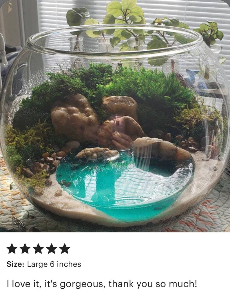May include: A glass terrarium with a miniature landscape featuring green moss, rocks, and a blue resin pool. The terrarium is 6 inches in diameter.