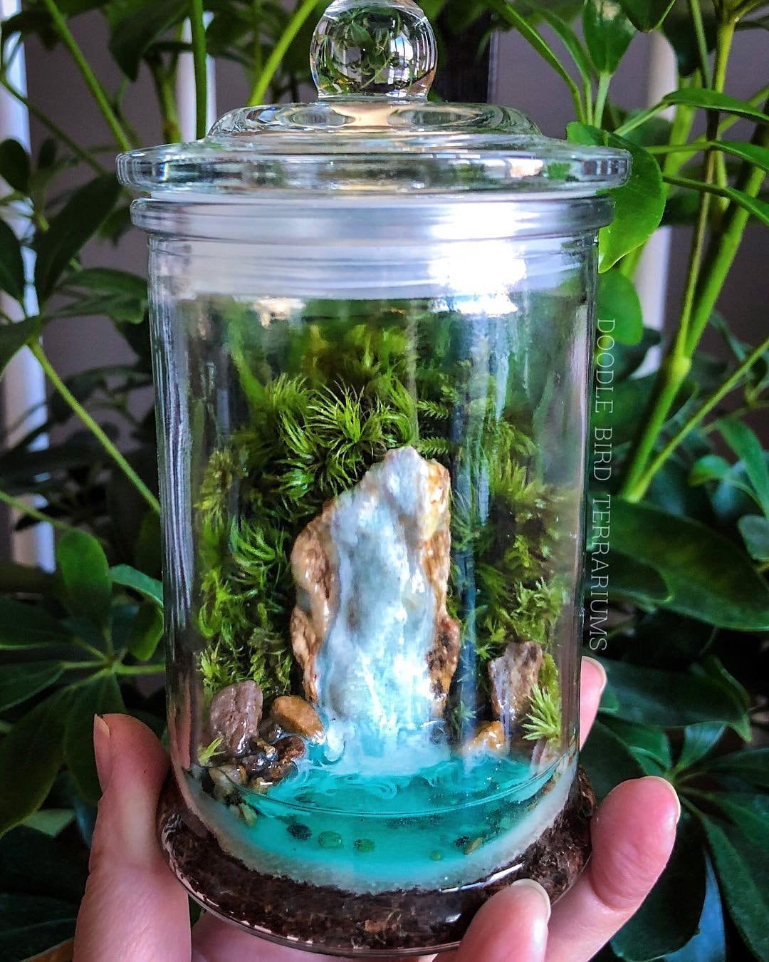 Miniature Live Moss Terrarium with Waterfall Scene
