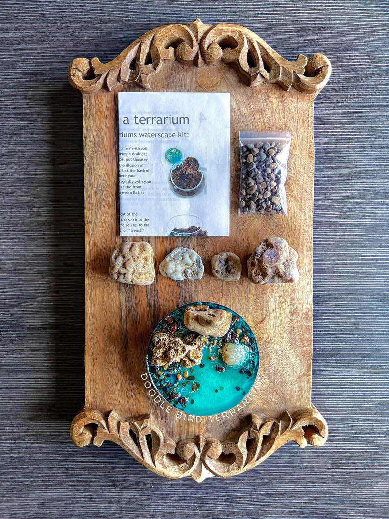 May include: A small, round terrarium with a turquoise blue resin base and a variety of small rocks and stones. The terrarium is on a wooden tray with the words "Doodle Bird Terrariums" printed on the tray. The image also includes a small bag of decorative stones and a printed instruction sheet for creating a terrarium.