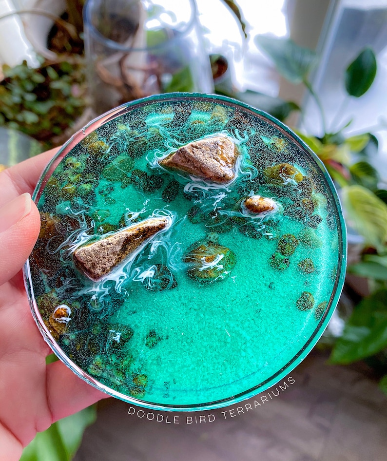 May include: A round, clear resin coaster with a teal blue base and white swirls. The coaster has small, brown, irregular shaped rocks embedded in the resin. The text "Doodle Bird Terrariums" is printed on the bottom of the coaster.