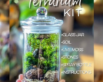 DIY Moss Terrarium Kit with Instructions