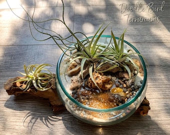 Pond Waterscape Kit for Terrarium Gardens