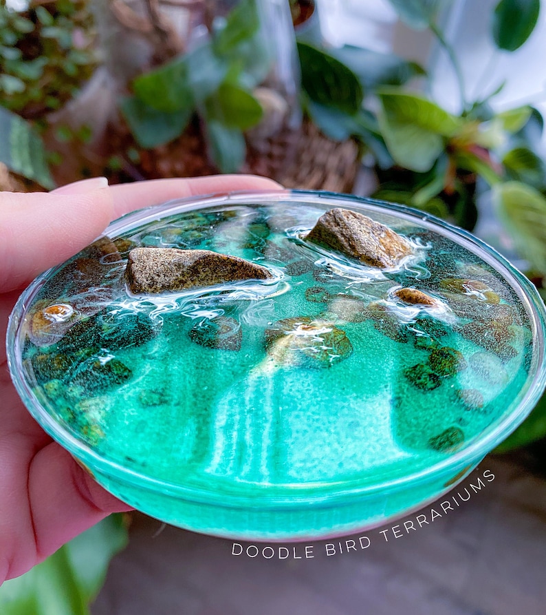 May include: A small, clear glass terrarium filled with a teal blue resin and small brown rocks. The terrarium is held in a hand and the text "Doodle Bird Terrariums" is visible at the bottom of the image.