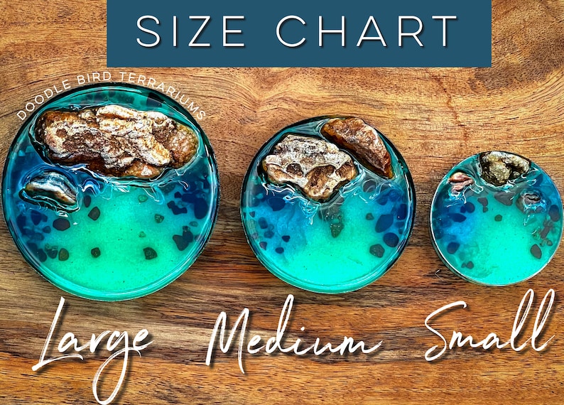 May include: Size chart for resin terrariums. Three round terrariums with a turquoise blue and green resin base, brown rocks, and black flecks. The terrariums are labeled "Large", "Medium", and "Small".