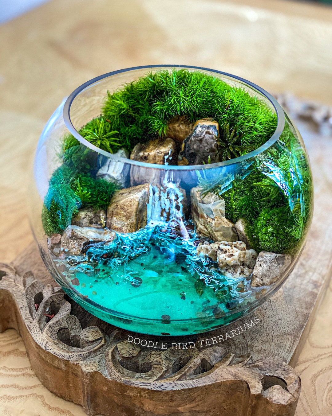 Small Seaside Ocean Cavern Terrarium / Tropical Home Accent