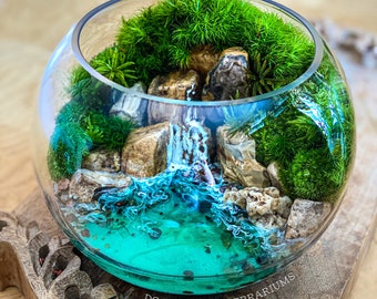 Small Seaside Ocean Cavern Terrarium / Tropical Home Accent / Coastal Shelf & Table Decor