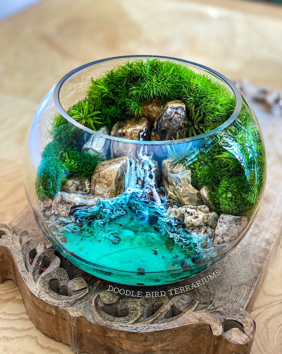 The Cove Beneath the Cliffs: Seaside Terrarium With Live Moss