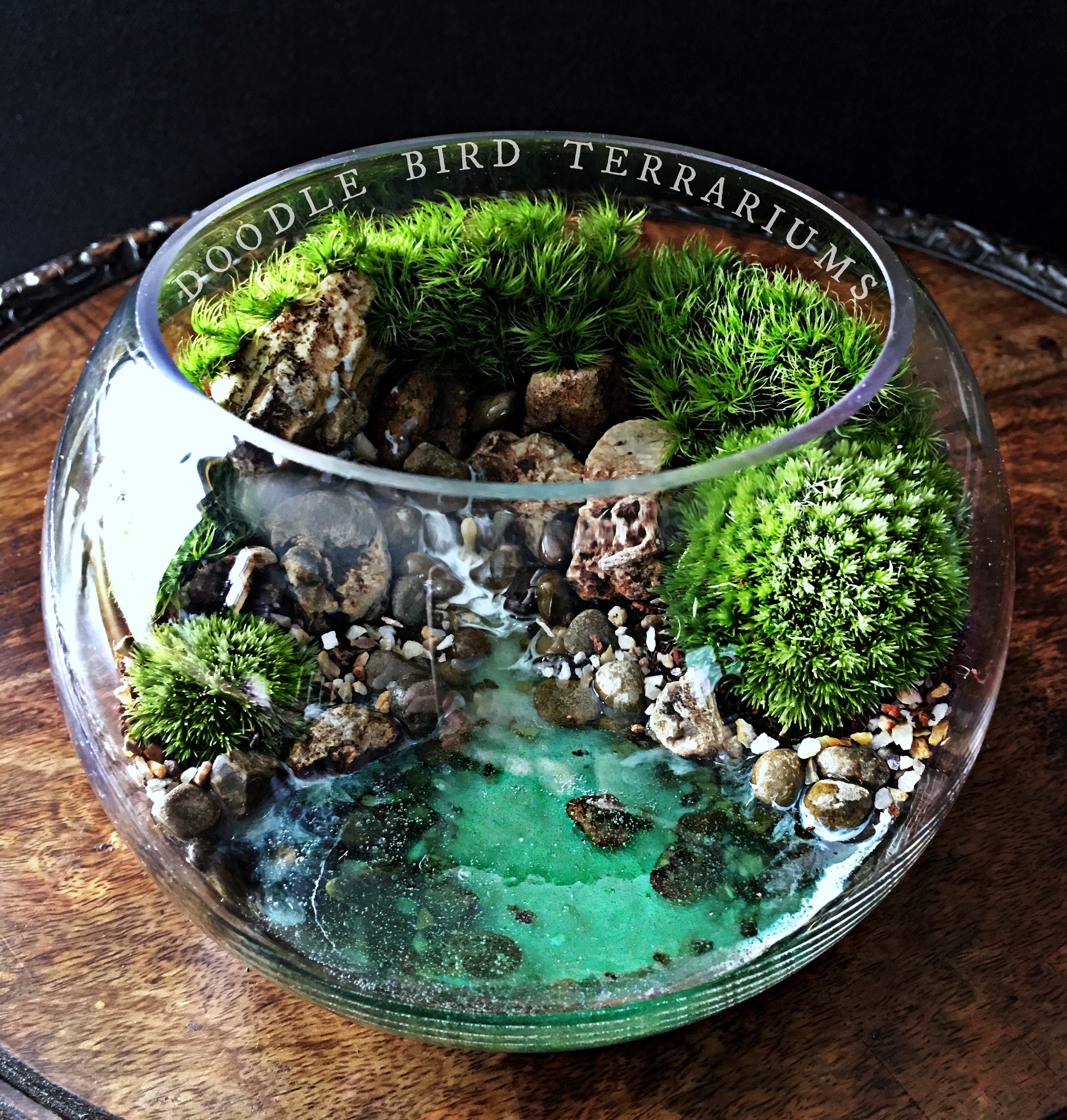 Terrarium With Waterfall Terrarium Waterfall Ideas AJRATW